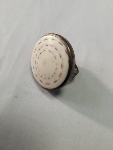Spiralmuschel ring antik - spiralmuschel,