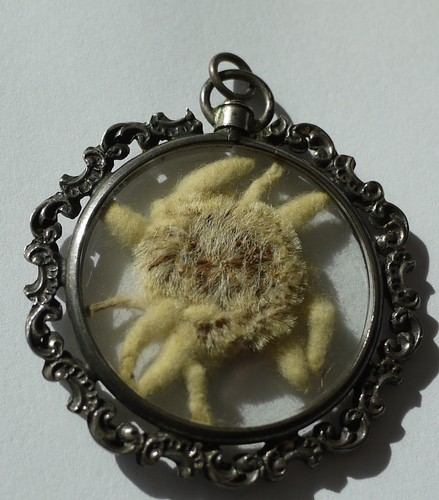 Antiker edelweiss anhänger - antiker,